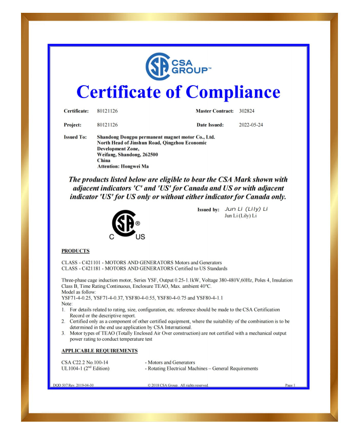 CSA certification certificate